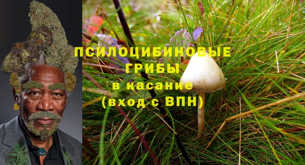 гашик Балабаново