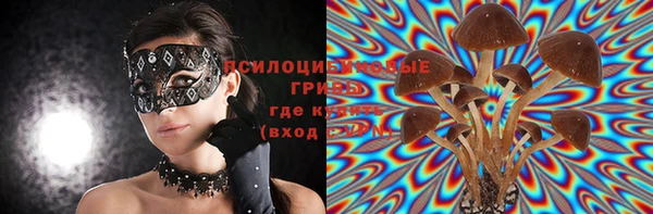 гашик Балабаново